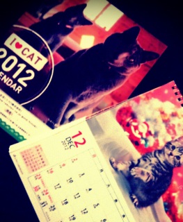 2012年 猫カレンダー
